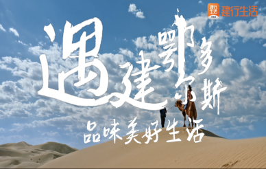 &#20048;&#40060;&#23448;&#26041;&#31471;&#32593;&#31449;&#30331;&#24405;&#20837;&#21475;&#45;&#20048;&#40060;&#108;&#101;&#121;&#117;&#40;&#20013;&#22269;&#41;